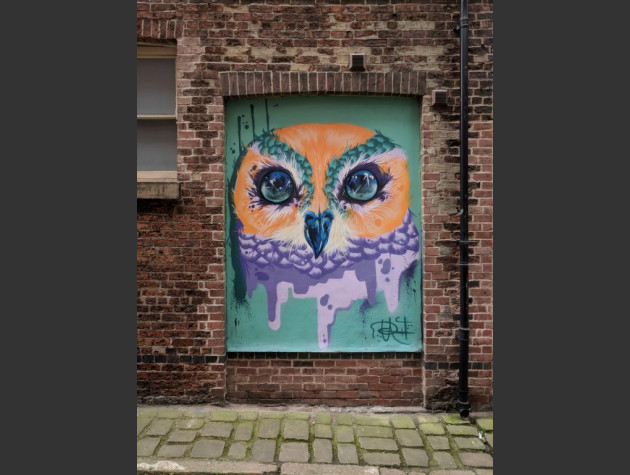 Mural of an owl's head